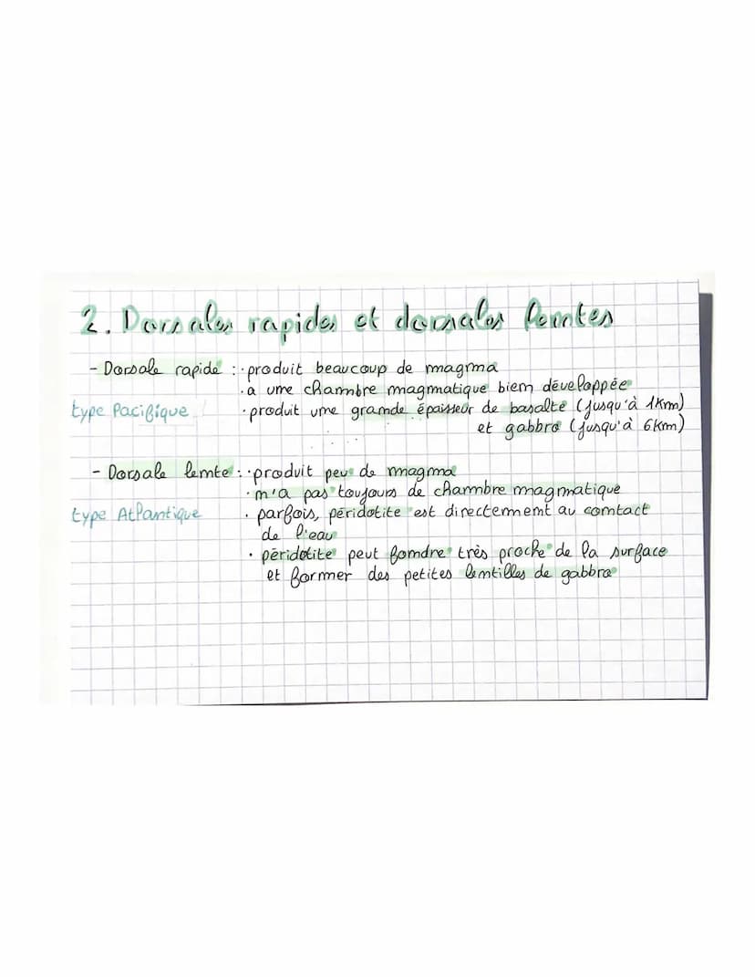 THEME 2 C
Chapitre 3: Les dorsales océaniques, lieux de
production de la croûte océanique
Intro
Dams ammées 50, topographie des fonds marims
