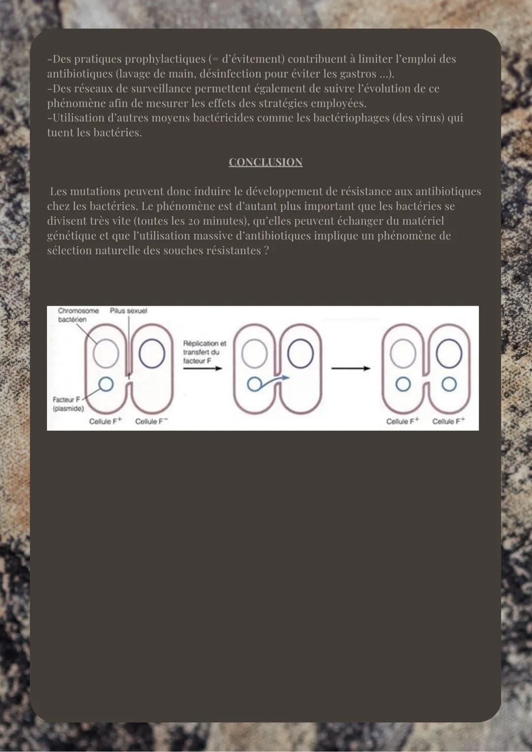 LA RÉSISTANCE AUX ANTIBIOTIQUES
Les antibiotiques sont des molécules qui limitent la prolifération des bactéries. Ces
molécules sont produit