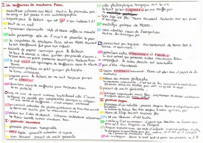 introcluction
C'est le deuxième roman d'un écrivain inconnu du public, Emile Ajar,
pseudonyme derrière se cache un écrivain célèbre, Romain 