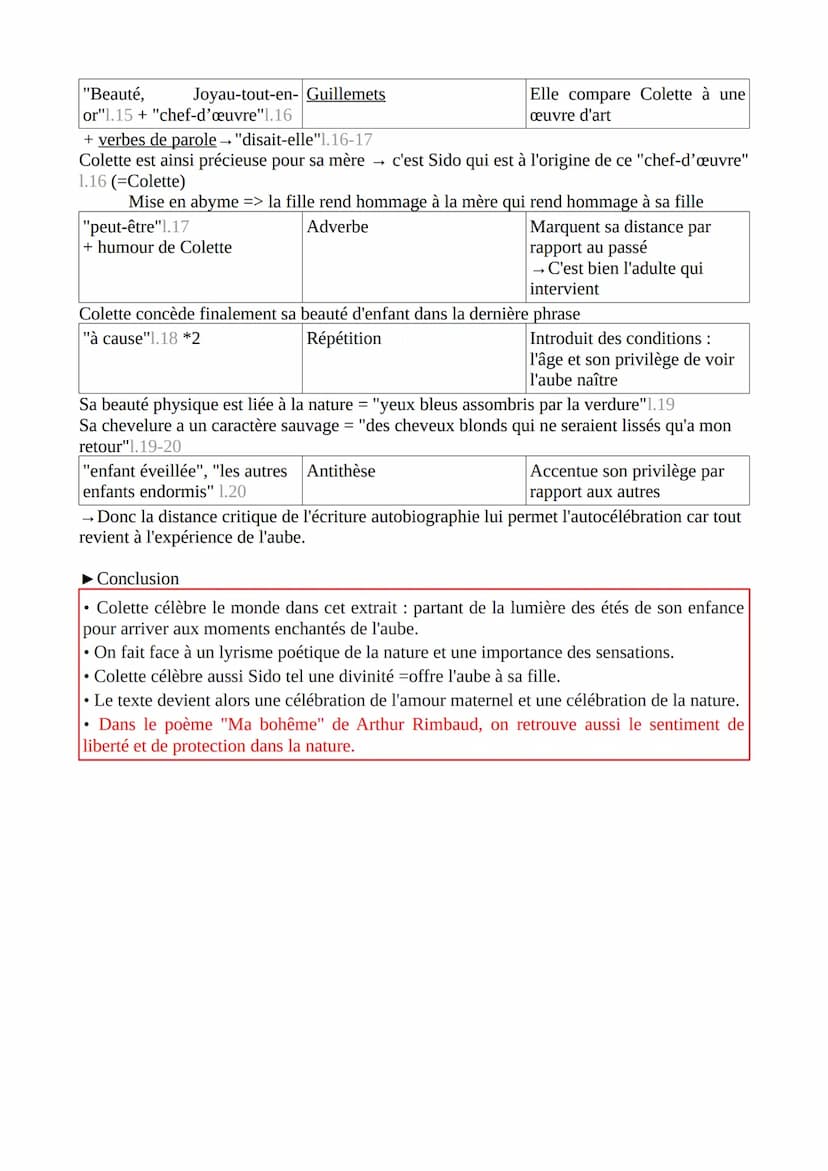 Sido
Colette
Étés réverbérés par le gravier jaune et chaud, étés traversant le jonc tressé de mes
grands chapeaux, étés presque sans nuits..