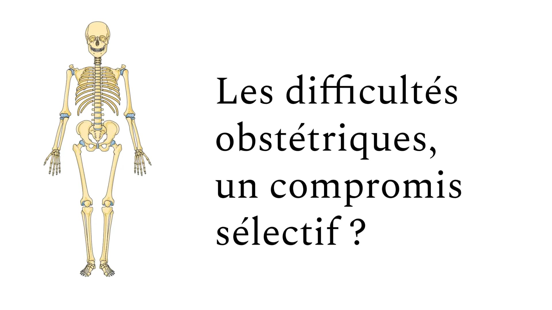 Les difficultés
obstétriques,
compromis
un
sélectif? Introduction :
Depuis toujours, les espèces sont en constante évolution, et ce par bras