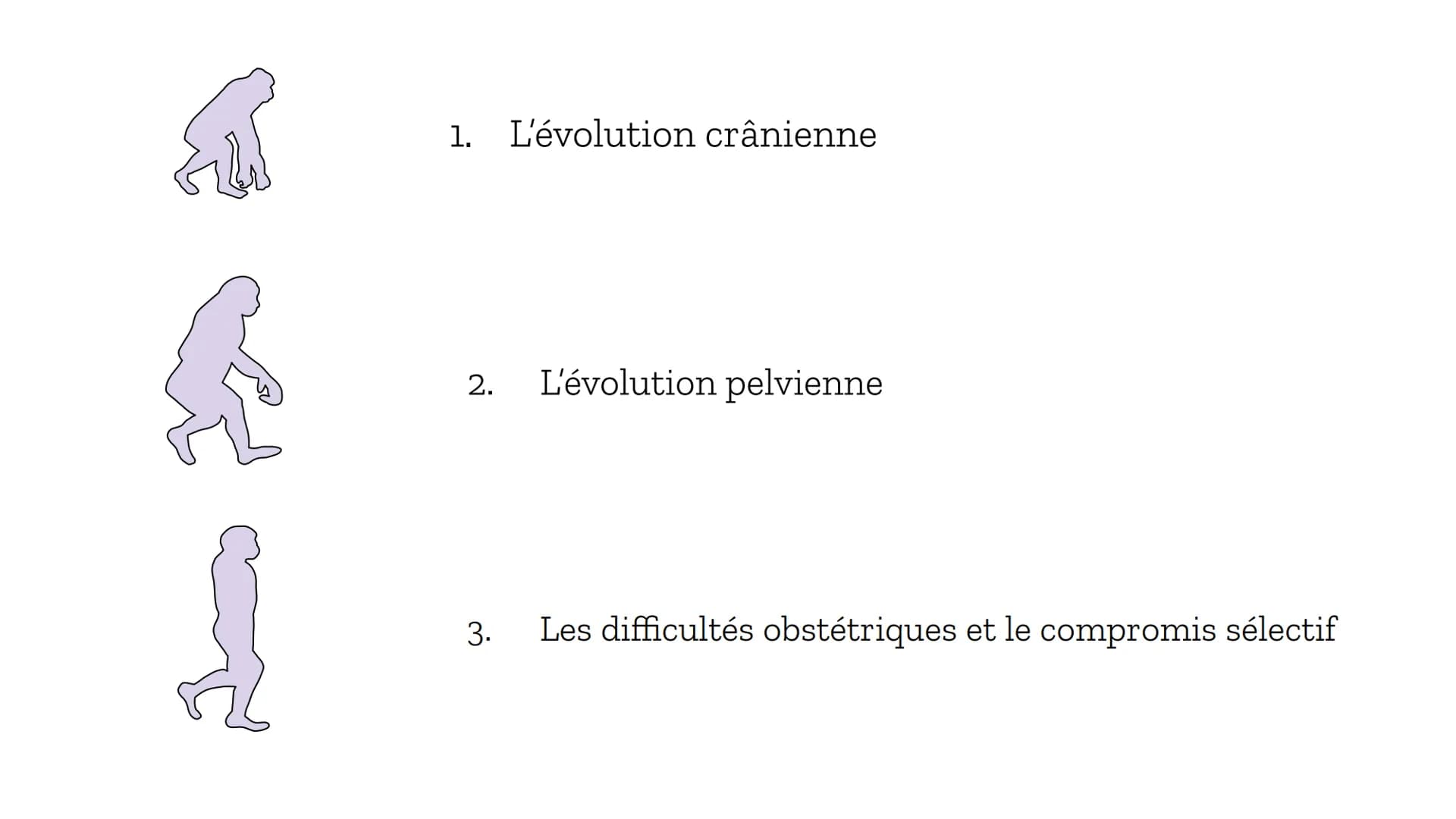 Les difficultés
obstétriques,
compromis
un
sélectif? Introduction :
Depuis toujours, les espèces sont en constante évolution, et ce par bras