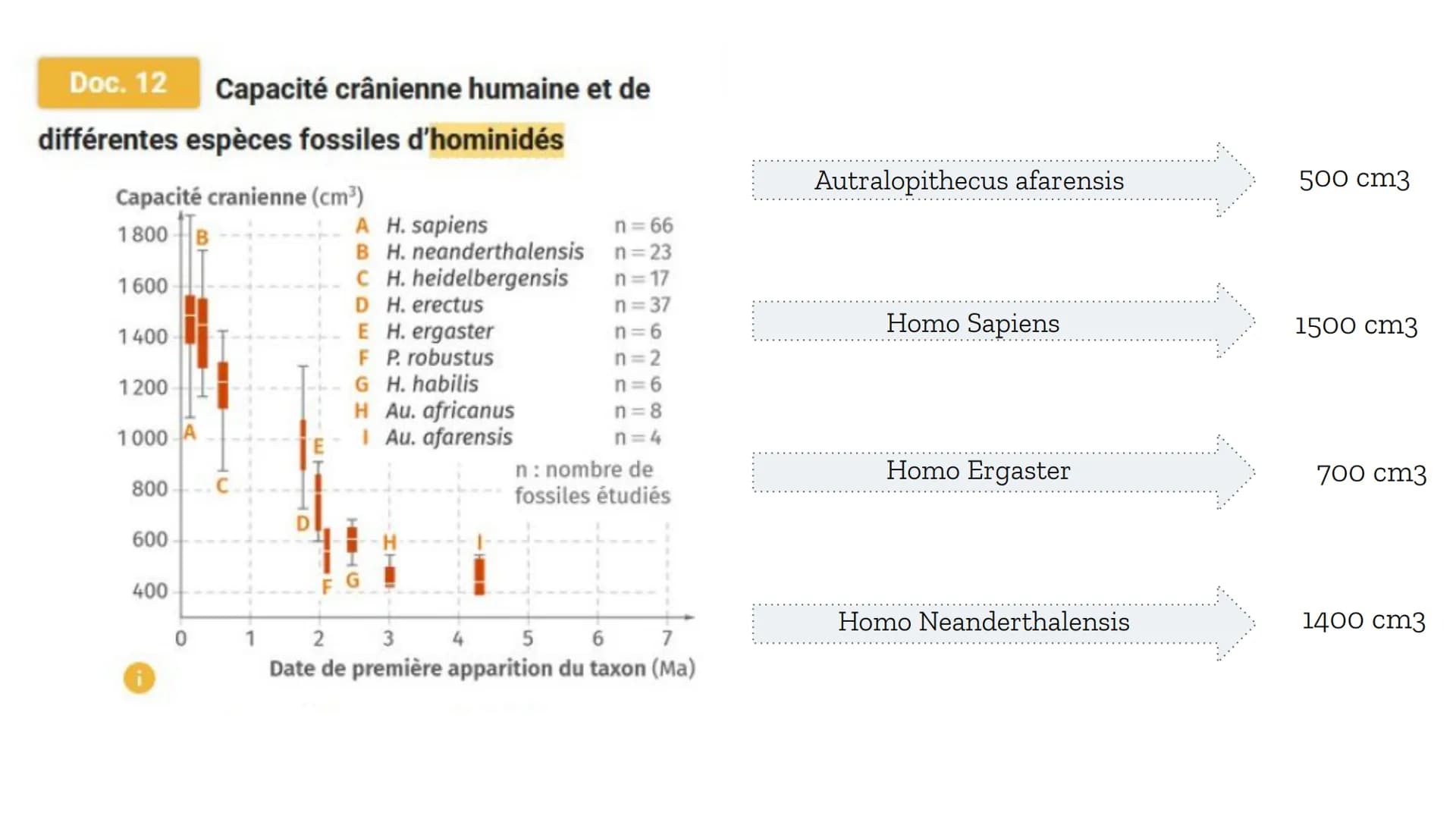 Les difficultés
obstétriques,
compromis
un
sélectif? Introduction :
Depuis toujours, les espèces sont en constante évolution, et ce par bras