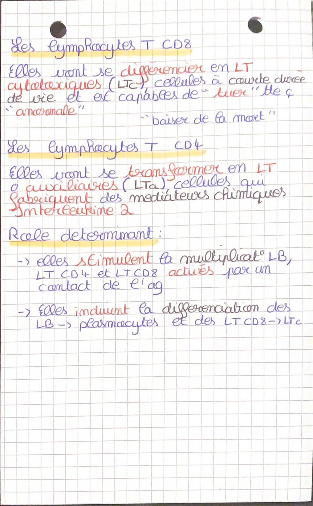 SVT
Immunité adaptative
-> Les lymphocytes T et lymphocytes B
I
L'immunite est assurée par des lymphocytes
2 types de lymphocytes (# par lev