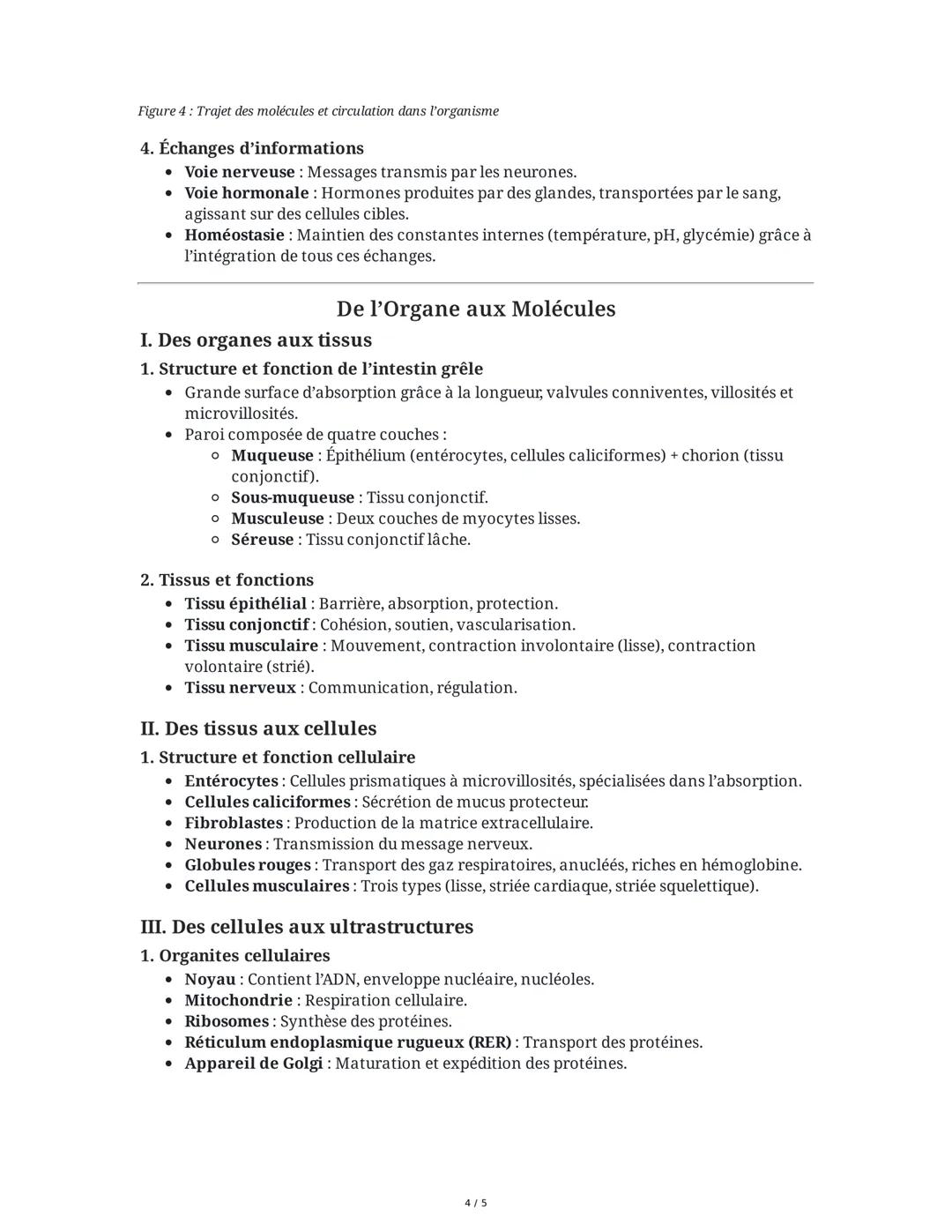 # Anatomie et Unité de l'Organisme

**I. Définitions et Niveaux d'Organisation**

* **Anatomie** : Science étudiant l'organisation interne d