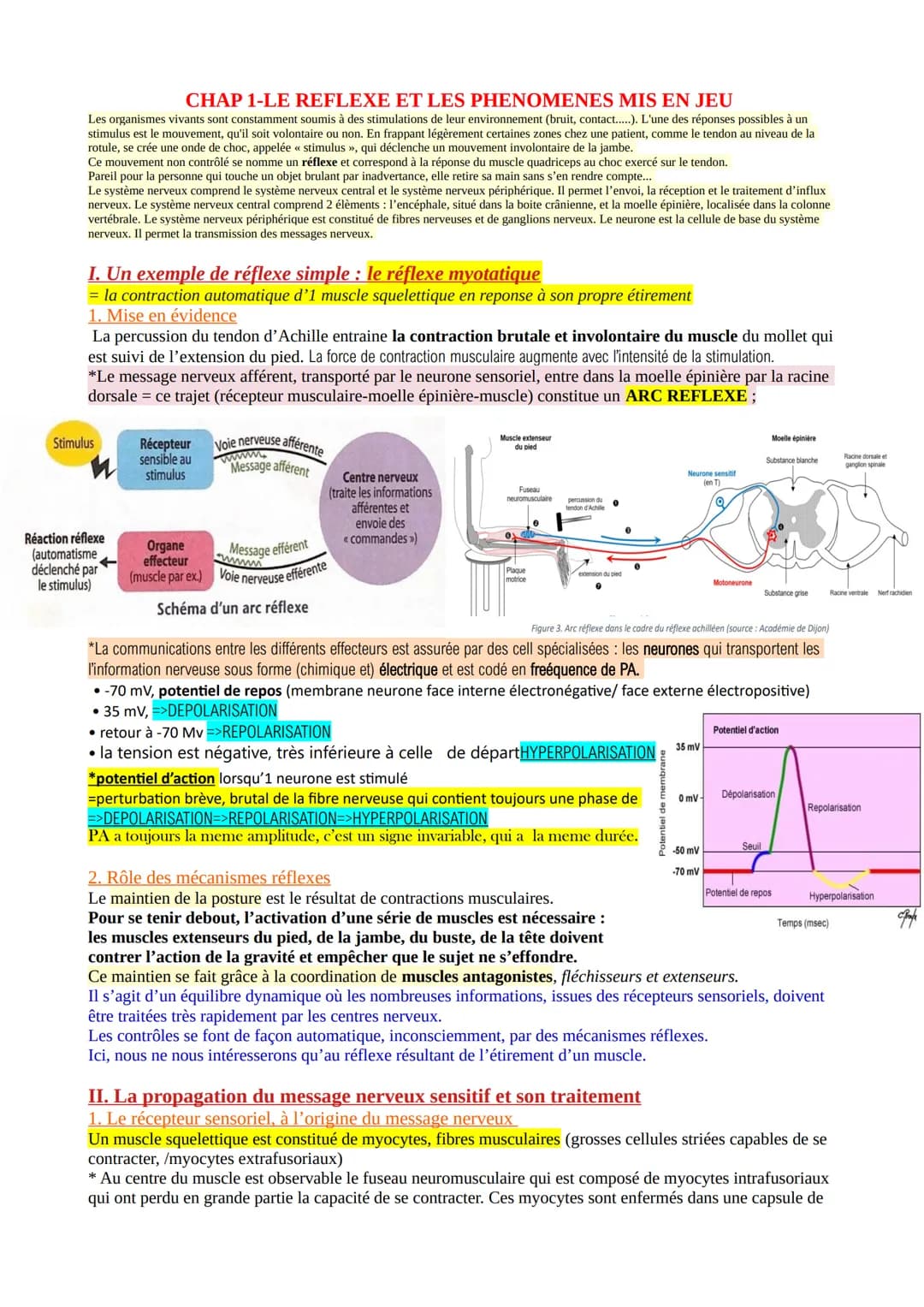 CHAP 1-LE REFLEXE ET LES PHENOMENES MIS EN JEU
Les organismes vivants sont constamment soumis à des stimulations de leur environnement (brui
