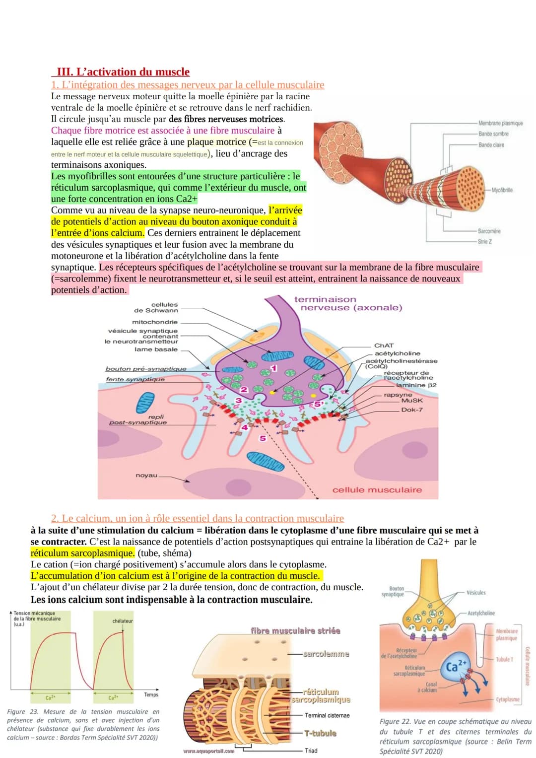 CHAP 1-LE REFLEXE ET LES PHENOMENES MIS EN JEU
Les organismes vivants sont constamment soumis à des stimulations de leur environnement (brui