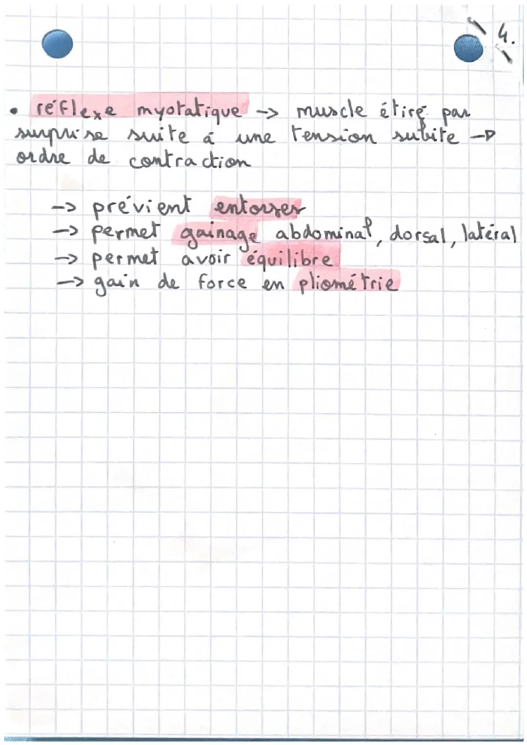 Muscu
1.
צור
deltoides
pectoraux
biceps
grand droit
avant-bras
obliques
quadriceps
aducteurs trapèzes
triceps
dorsaux
lombaires
fessiers
abd