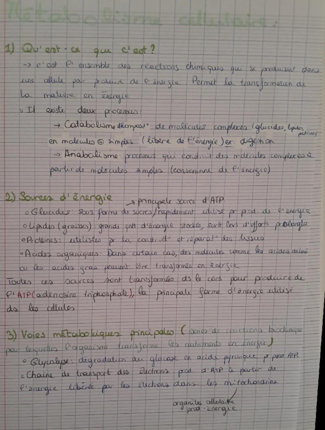1) Qu'est-ce que c'est?
→c'cot e' enscimble des reactions chimiques qui se produusut dans
une
chiule pour prodeure de l'ensigie Permet la tr