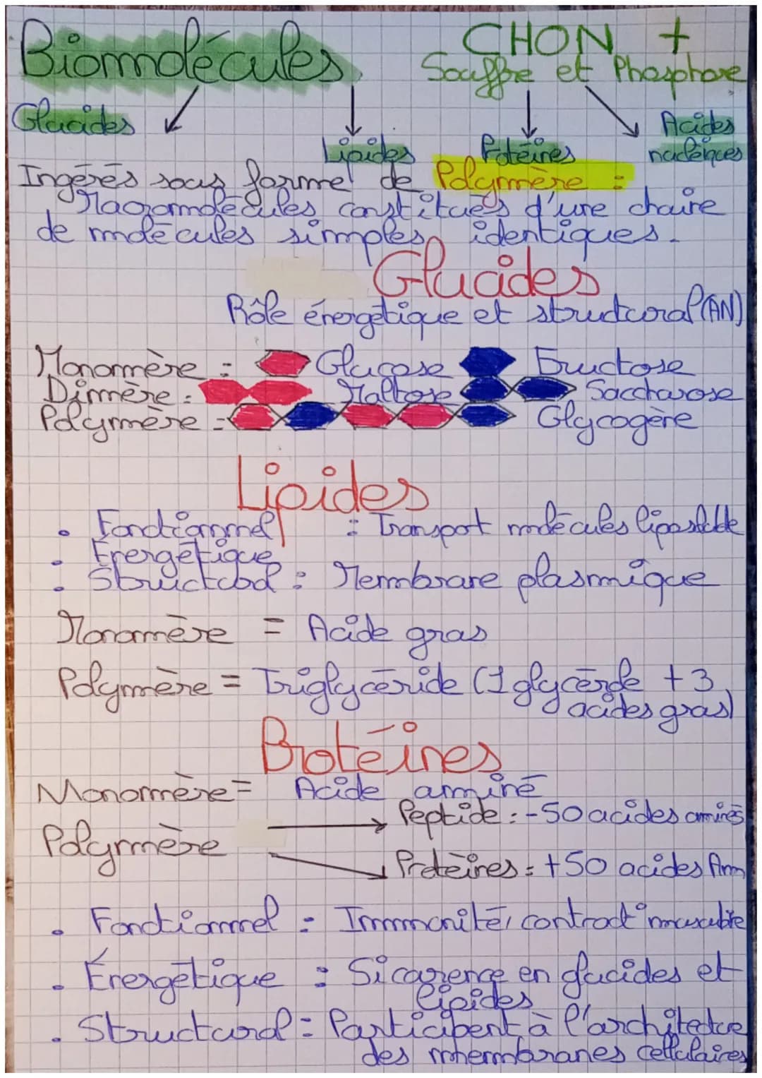 Big Nutrition et équilibre
alimentaire
Aliment Produit d'origine animale ou
vegelde qui renferme des substances récessaire
a la nutrition de