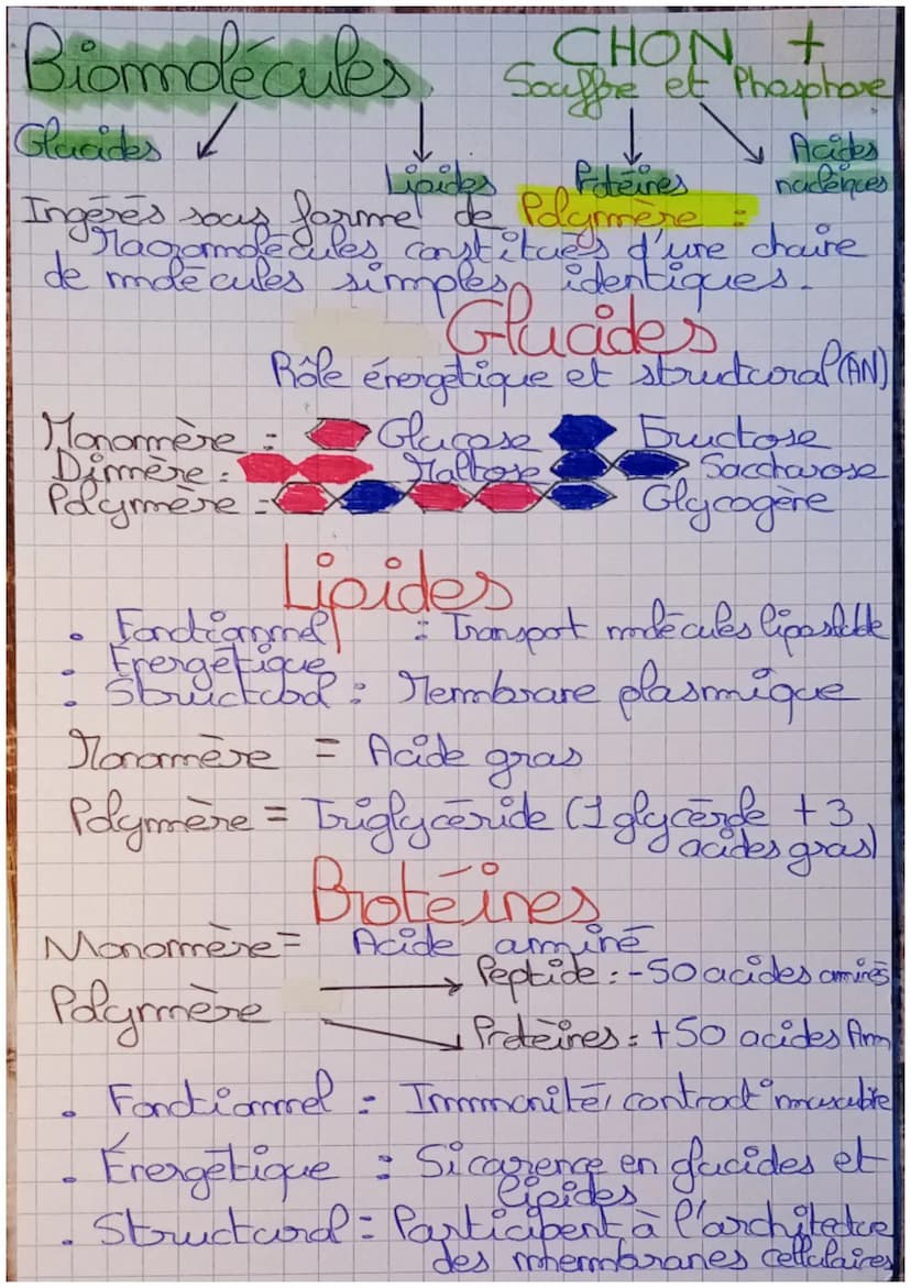Big Nutrition et équilibre
alimentaire
Aliment Produit d'origine animale ou
vegelde qui renferme des substances récessaire
a la nutrition de