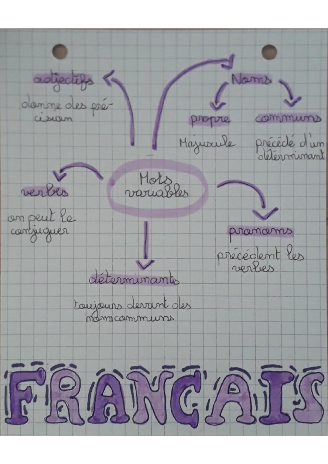 Fiche de révision sur les mots variables🌊🥥