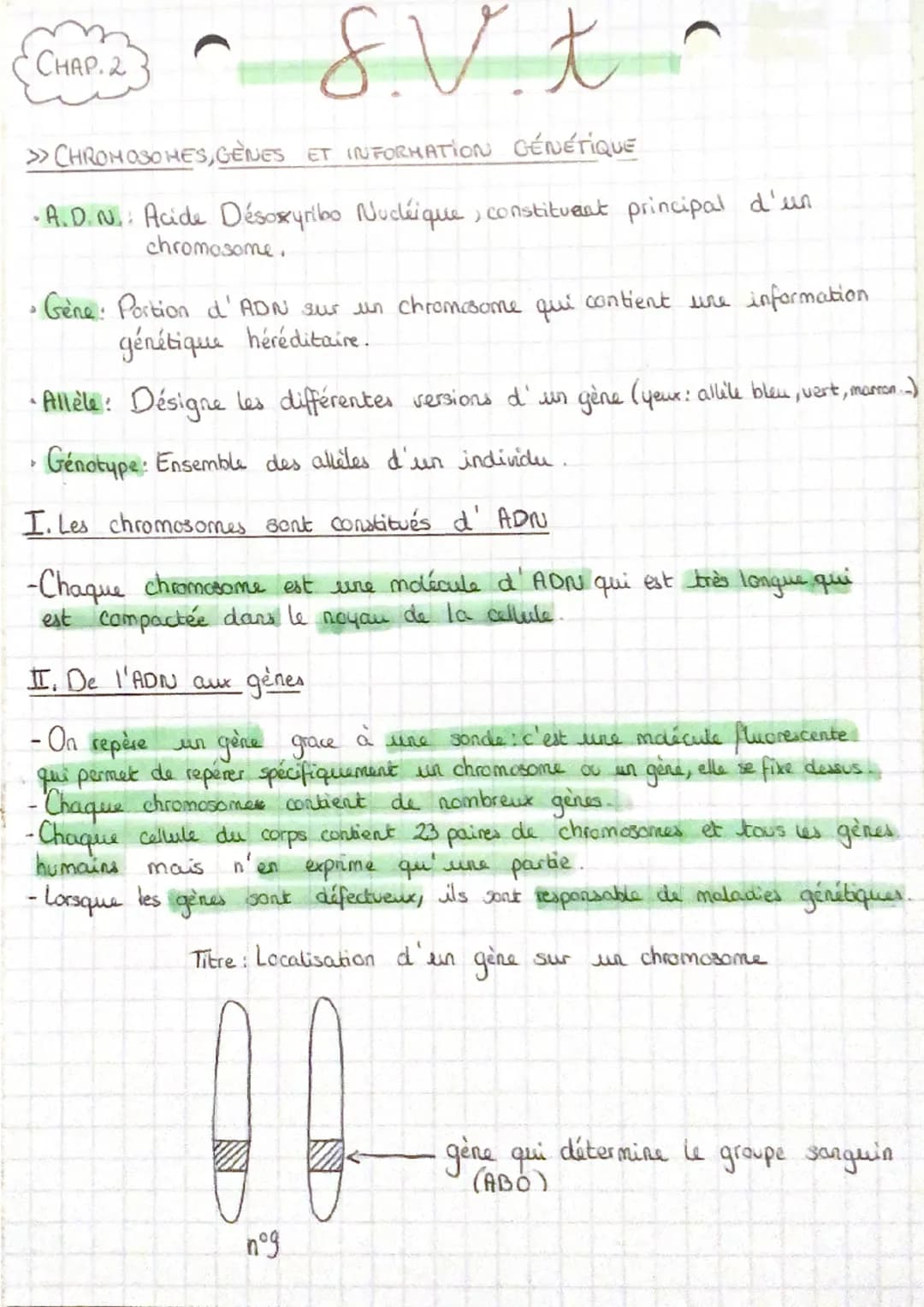 CHAP. 2
>>CHROMOSOMES, GÈNES ET INFORMATION GÉNÉTIQUE
•A.D.N.: Acide Désoxyribo Nucléique, constituent principal d'un
chromosome.
S.Vt
a
• G