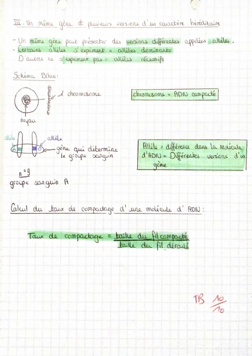 CHAP. 2
>>CHROMOSOMES, GÈNES ET INFORMATION GÉNÉTIQUE
•A.D.N.: Acide Désoxyribo Nucléique, constituent principal d'un
chromosome.
S.Vt
a
• G