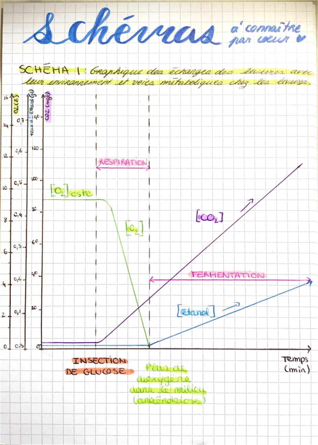 16
14
12
10
6+
4
(2)70
2
Schémas
SCHEMA 1: Graphique des échanges des levures avec
leur environnement et voics métaboliques chez les levures