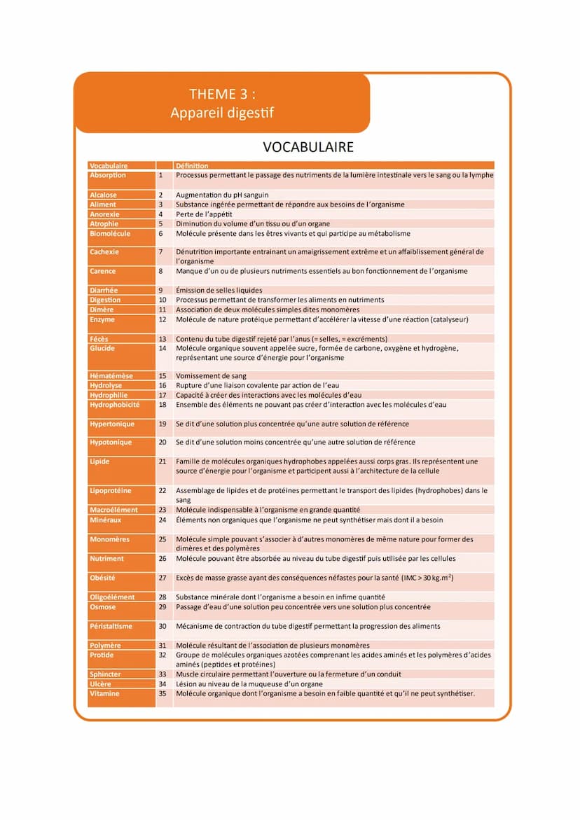 THEME 3 :
Appareil digestif
VOCABULAIRE
Glandes
salivaires
sial(o)
Cavité
buccale
bucc(o)
Foie
hépat(o)
Pancréas
pancréat(o)
-Pharynx
pharyn