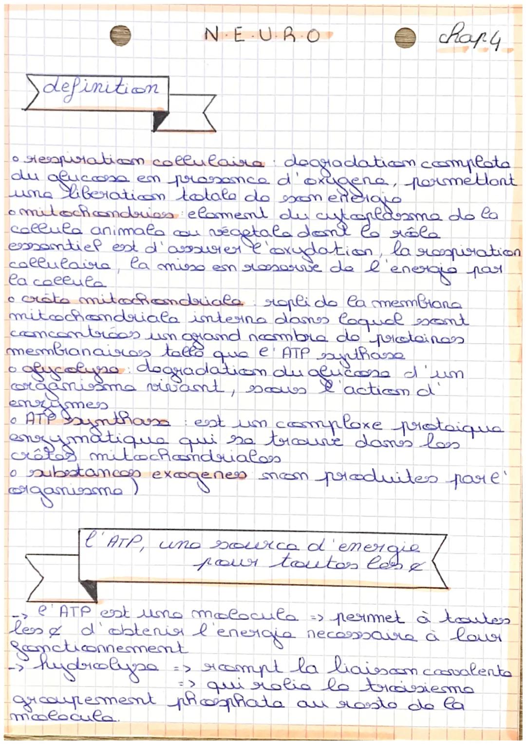 NEURO
chapy
Sdefinition
O
respiration collulaire degradaticon ccomplete
du gluccose en prossance d'oxigene, permettant
una liberation totale