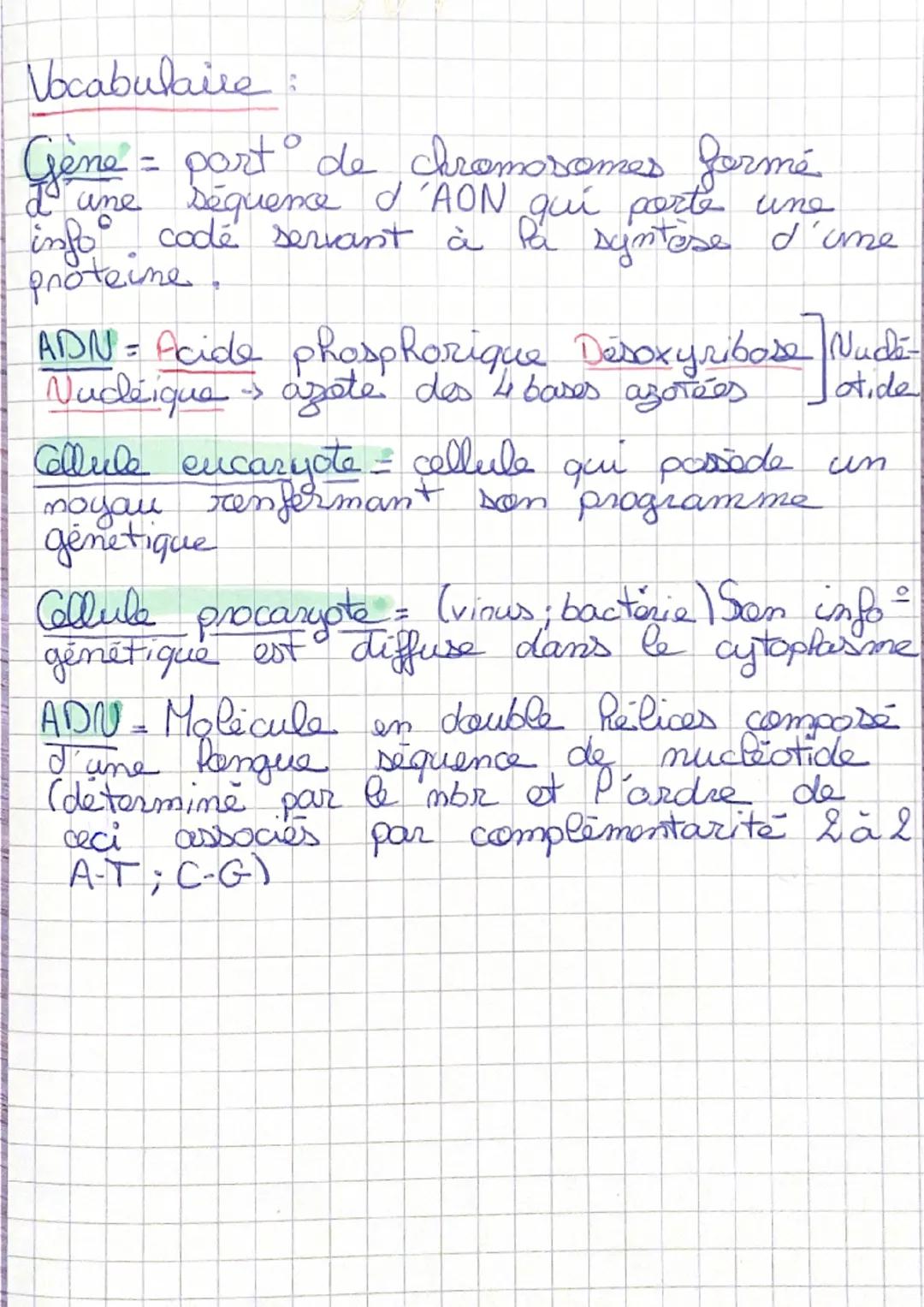 Vocabulaire
Gène = port de chromosomes formé
I une séquence d'AON qui porte une
info codé servant à la syntese d'une
proteine.
ADN = Acide p