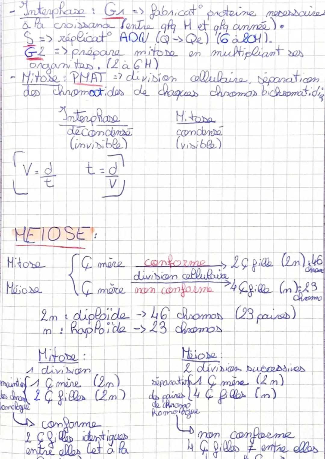 Vocabulaire
Gène = port de chromosomes formé
I une séquence d'AON qui porte une
info codé servant à la syntese d'une
proteine.
ADN = Acide p