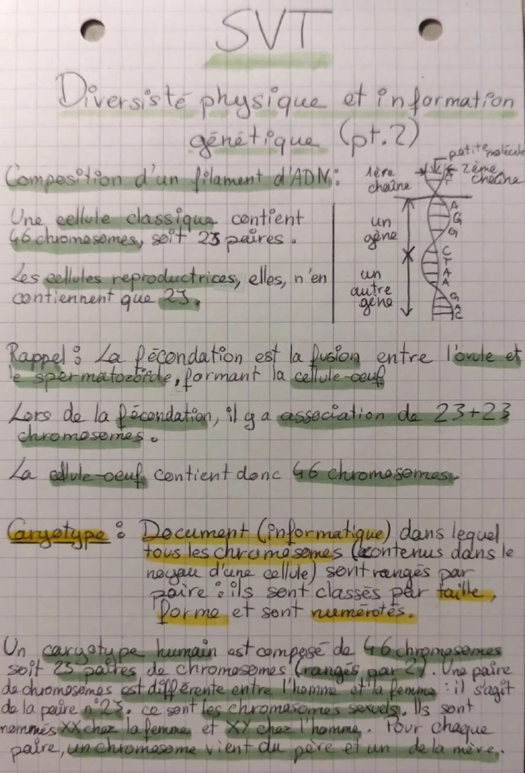 SVT

Diversité physique et information
génétique

Pour observer la diversité entre les individus, on compare
leurs caractéristiques physique