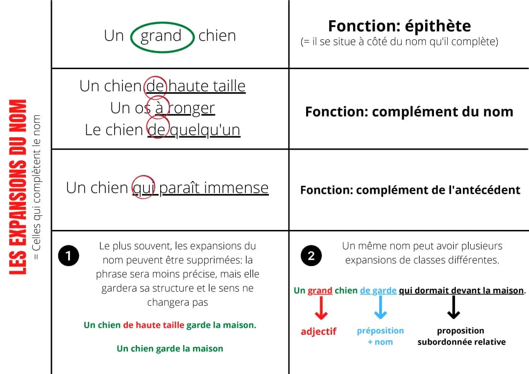 les expansion du nom 