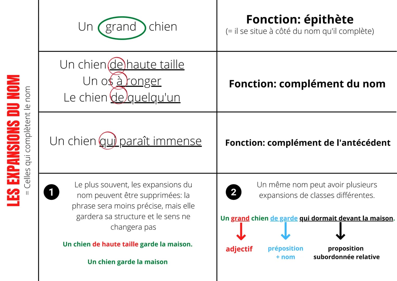 LES EXPANSIONS DU NOM
= Celles qui complètent le nom
Un grand chien
1
Un chien de haute taille
Un os à ronger
Le chien de quelqu'un
Un chien