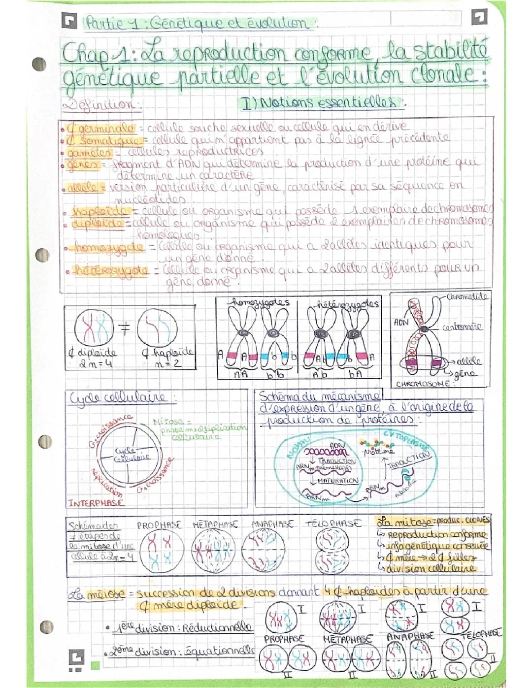 Fiche svt - Stabilité génétique et évolution clonale ( spé SVT term)