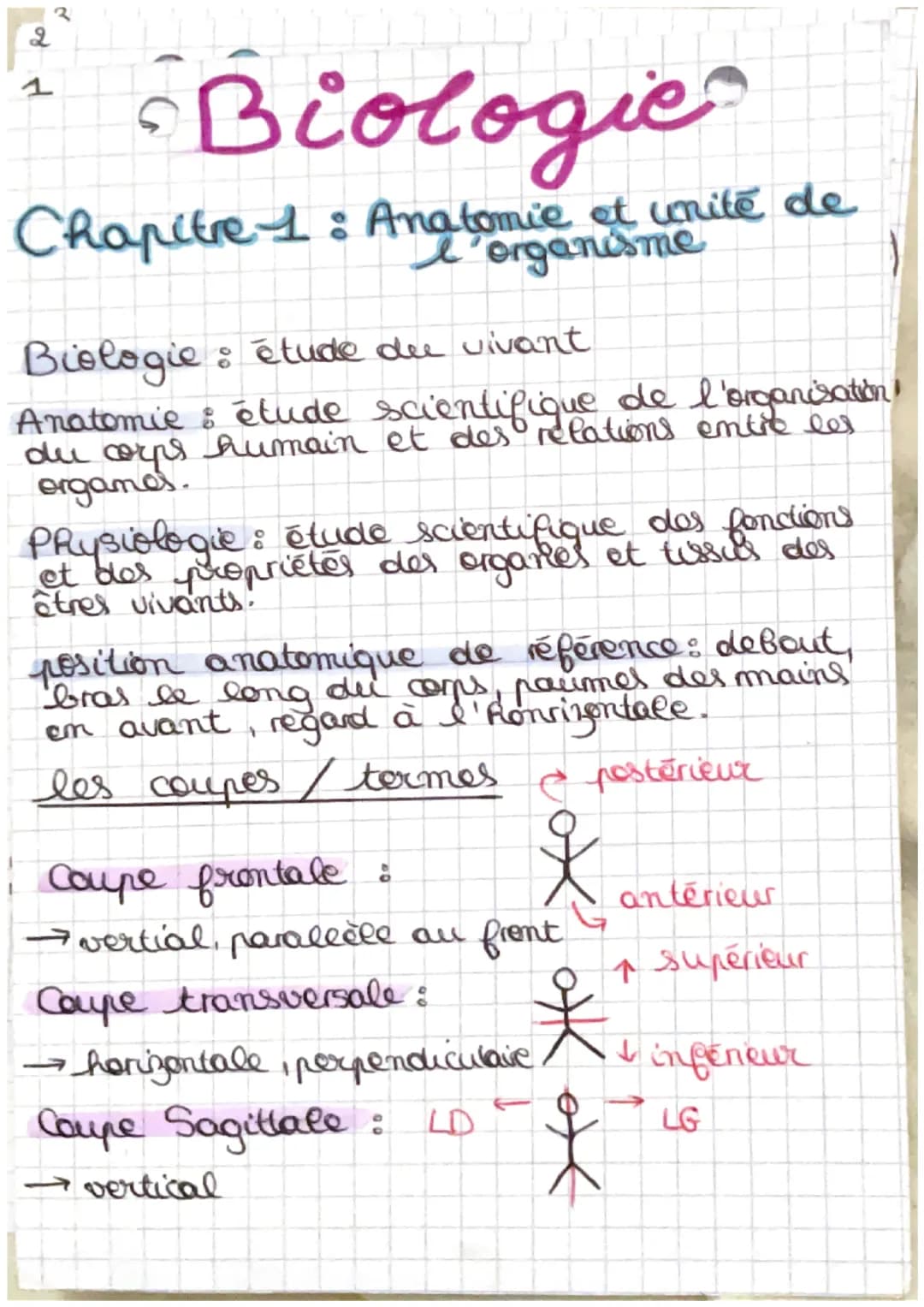 2
4 Biologie
C
Chapitre 1 : Anatomie et unité de
l'organisme
Biologie : étude due vivant
Anatomie : étude scientifique de l'organisation!
du