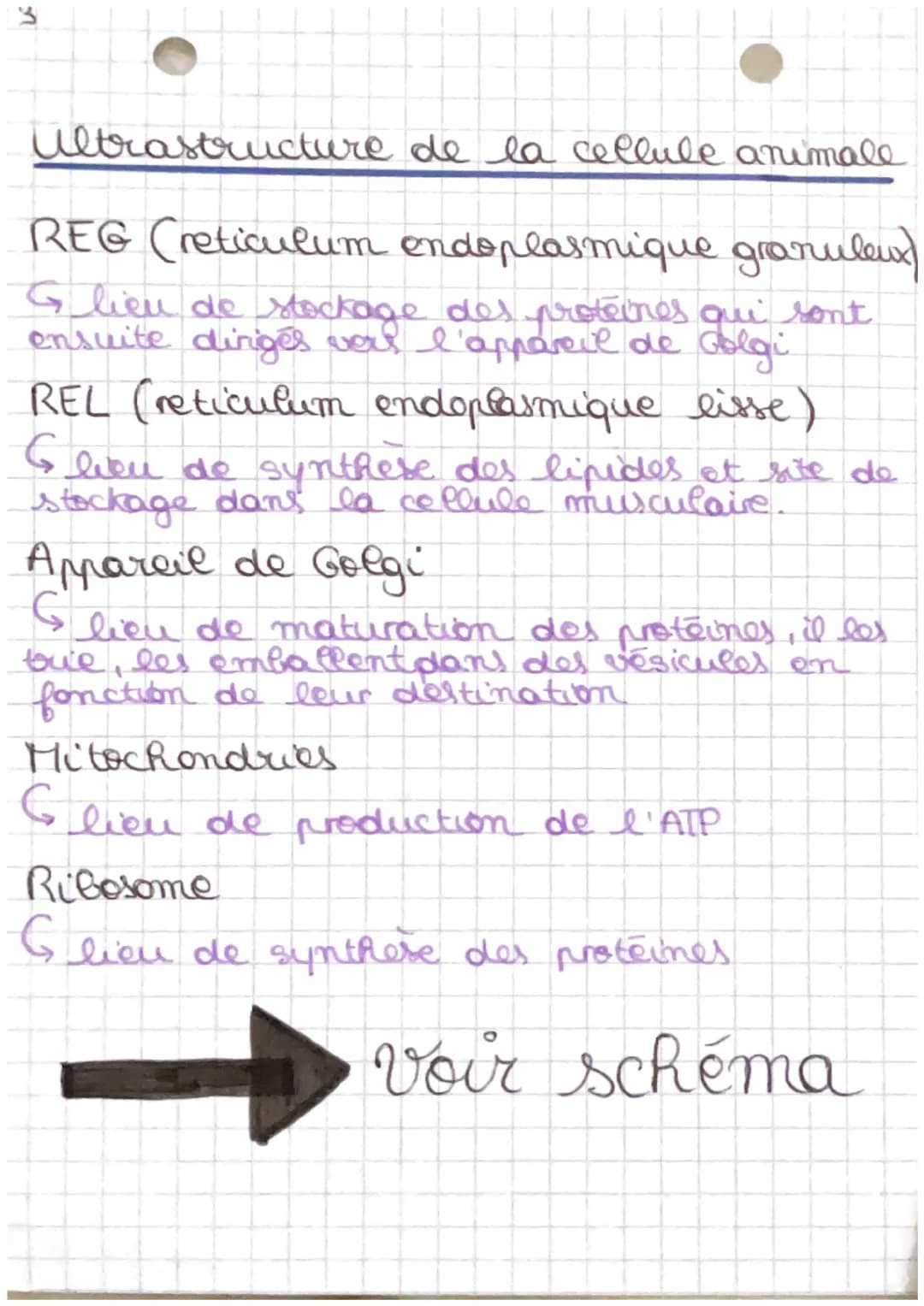 2
4 Biologie
C
Chapitre 1 : Anatomie et unité de
l'organisme
Biologie : étude due vivant
Anatomie : étude scientifique de l'organisation!
du