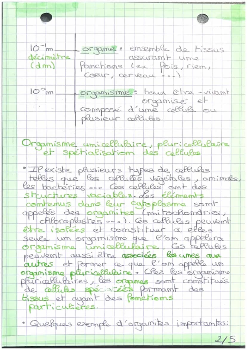 d'organisme pluricellulaire,
um emsemble
cellules spétialisées. I
de
des différents échelles du vivant
Le vivant est organisé em plusieur
éc