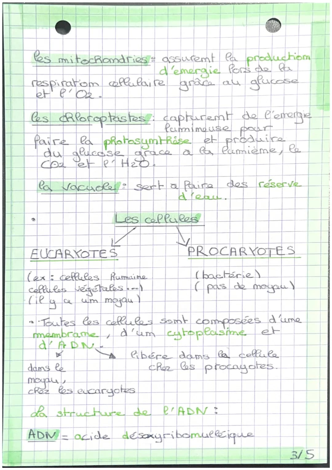 d'organisme pluricellulaire,
um emsemble
cellules spétialisées. I
de
des différents échelles du vivant
Le vivant est organisé em plusieur
éc