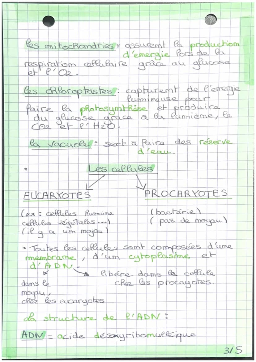 d'organisme pluricellulaire,
um emsemble
cellules spétialisées. I
de
des différents échelles du vivant
Le vivant est organisé em plusieur
éc
