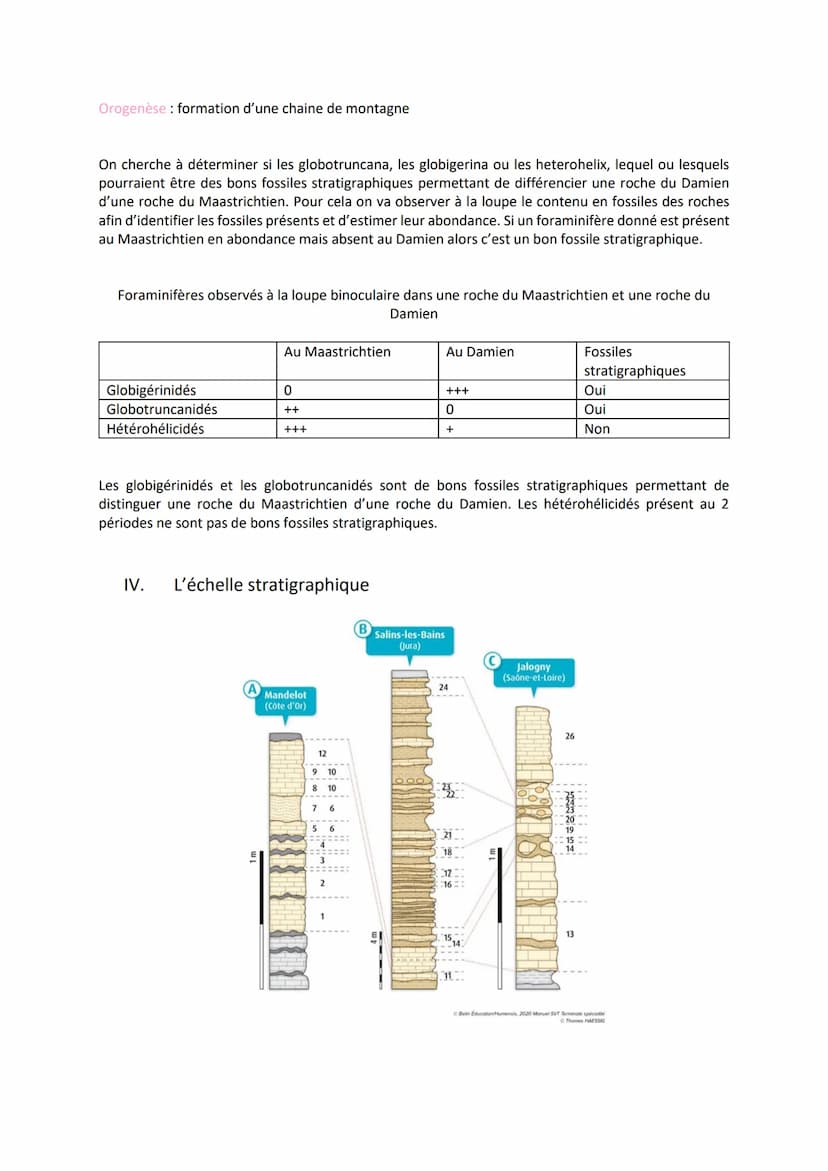 Chapitre 9
Comment peut-on dater des objets géologiques tels que des
minéraux ou des roches ou encore restituer la chronologie ?
I.
●
LE TEM