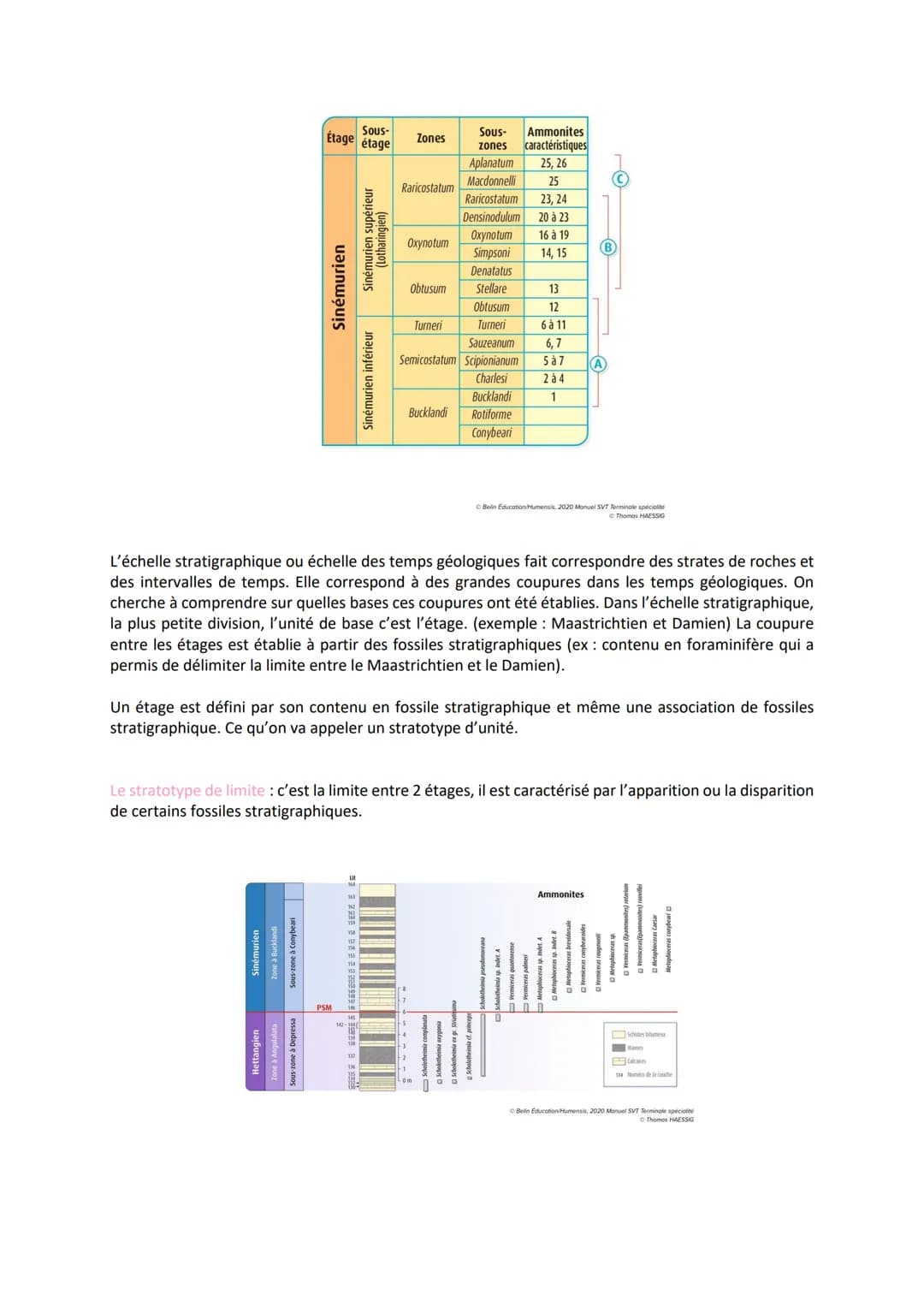 Chapitre 9
Comment peut-on dater des objets géologiques tels que des
minéraux ou des roches ou encore restituer la chronologie ?
I.
●
LE TEM