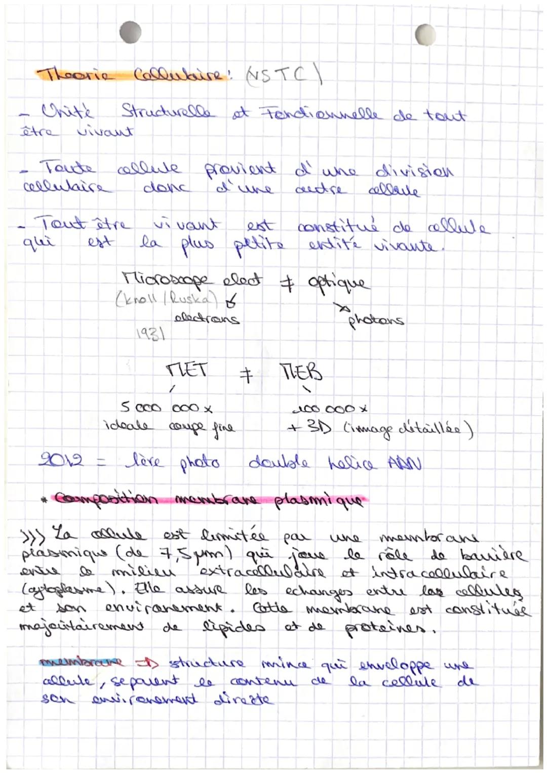 ES: Sut Structure vivante: Cellule
Niveaux el'erganisat
повесиле о
Populat & Organisme
Alome
Biosphère 4-
↓
Ecosysteme
Organe le plus volumi