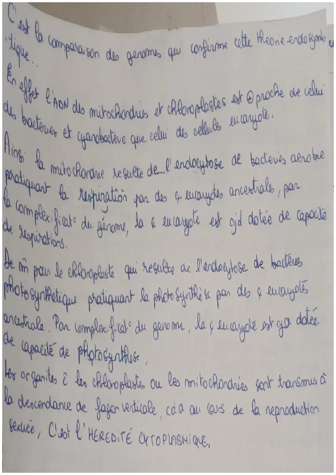 ENDOSYMBIOSE
durable a
d'espèces differentes.
La Symbiose est une association
entre
organismes
benefices
reciproque
On parle d'endosymbriose