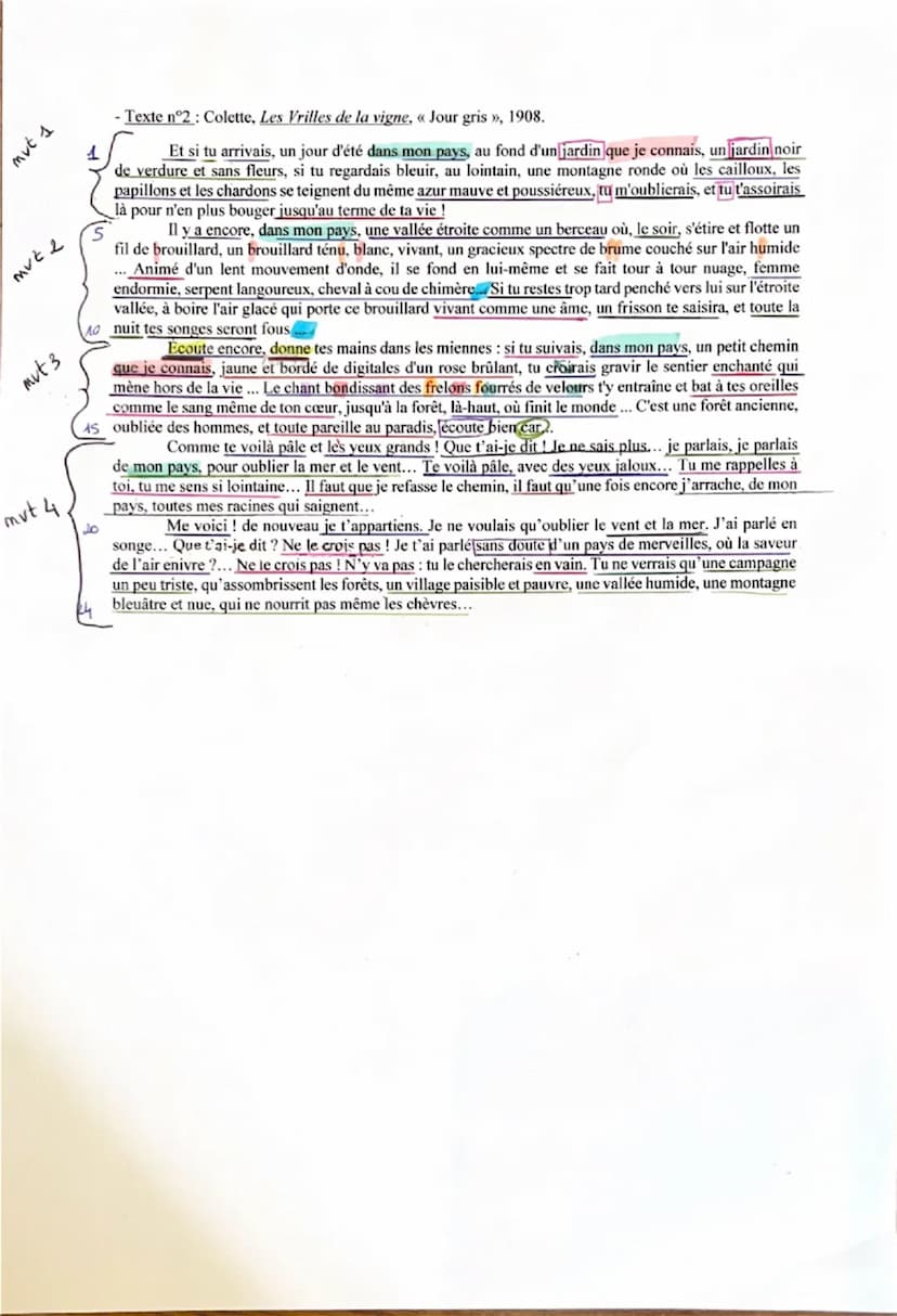 Clara
Teyssien
AT4
introduction:
Jain Gris
e
du 20
Fiche Bac Français
SIDO
FF JOUR gud » p. 150
Les willes de to vignes.
à été écut par Cole