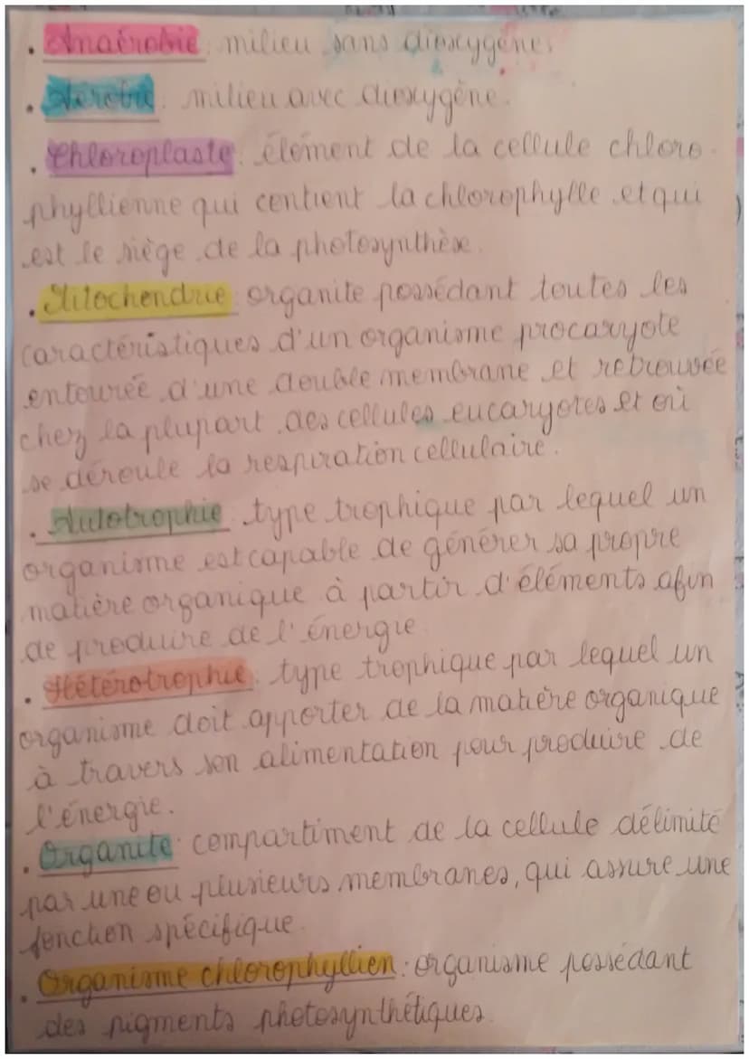 SMT
Fiche de révision du chapitre & le
métabolime des cellules
I) Définitions.
Métabolisme: ensemble des réactions chimiques
ayant lieu dans