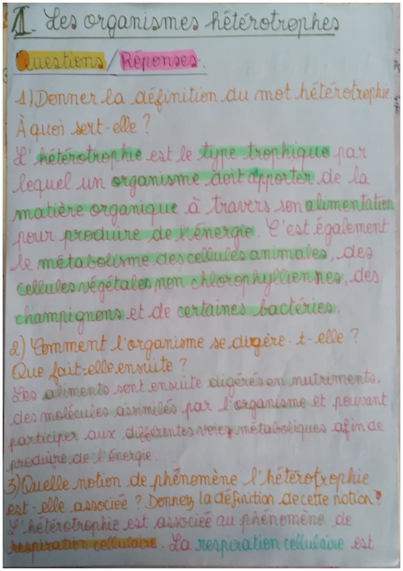SMT
Fiche de révision du chapitre & le
métabolime des cellules
I) Définitions.
Métabolisme: ensemble des réactions chimiques
ayant lieu dans