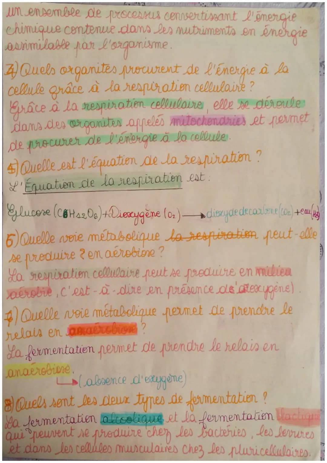 SMT
Fiche de révision du chapitre & le
métabolime des cellules
I) Définitions.
Métabolisme: ensemble des réactions chimiques
ayant lieu dans