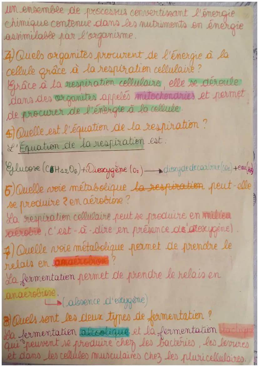 SMT
Fiche de révision du chapitre & le
métabolime des cellules
I) Définitions.
Métabolisme: ensemble des réactions chimiques
ayant lieu dans