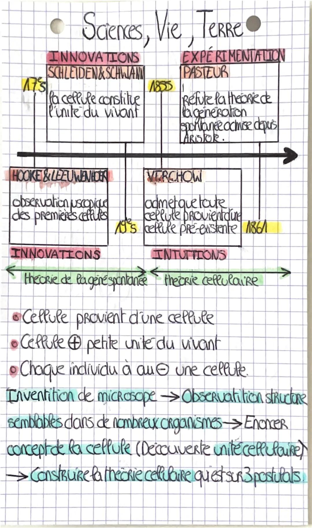 SVT THÈME 1 : Une longue histoire de la matière: Une structure complexe, la cellule vivante  