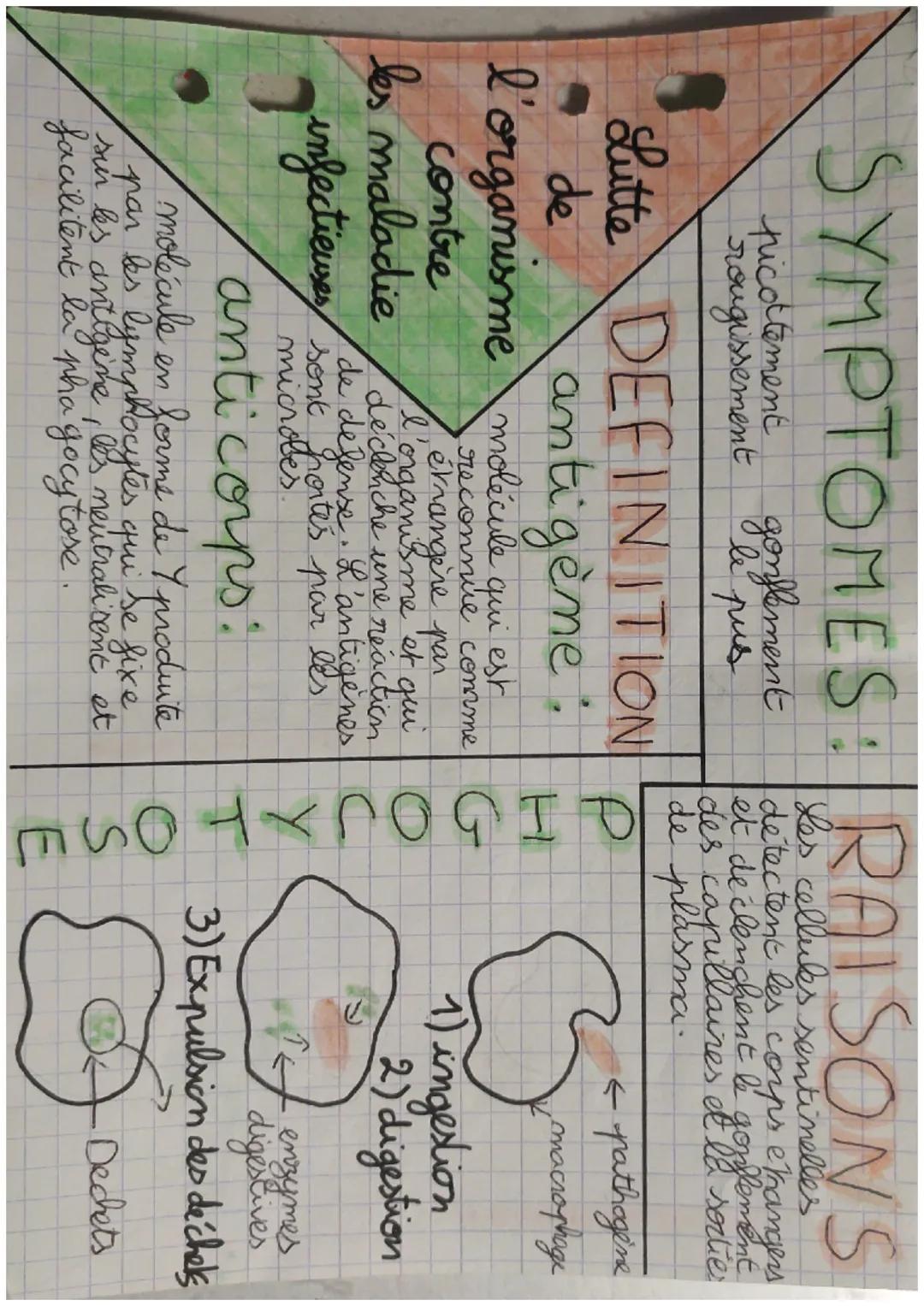 SYMPTOMES: RAISONS

tucagimement gonflement
Les cellules sentinelles
détectent les corps ekangers
et declenchent le gouflement
des capillair