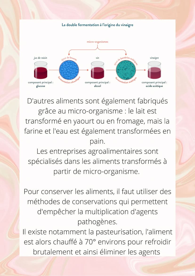 LA PRODUCTION
ET CONSERVATION
D'ALIMENTS
La fabrication d'aliments peut se faire grâce à
des micro-organismes. Par exemples pour
obtenir du 