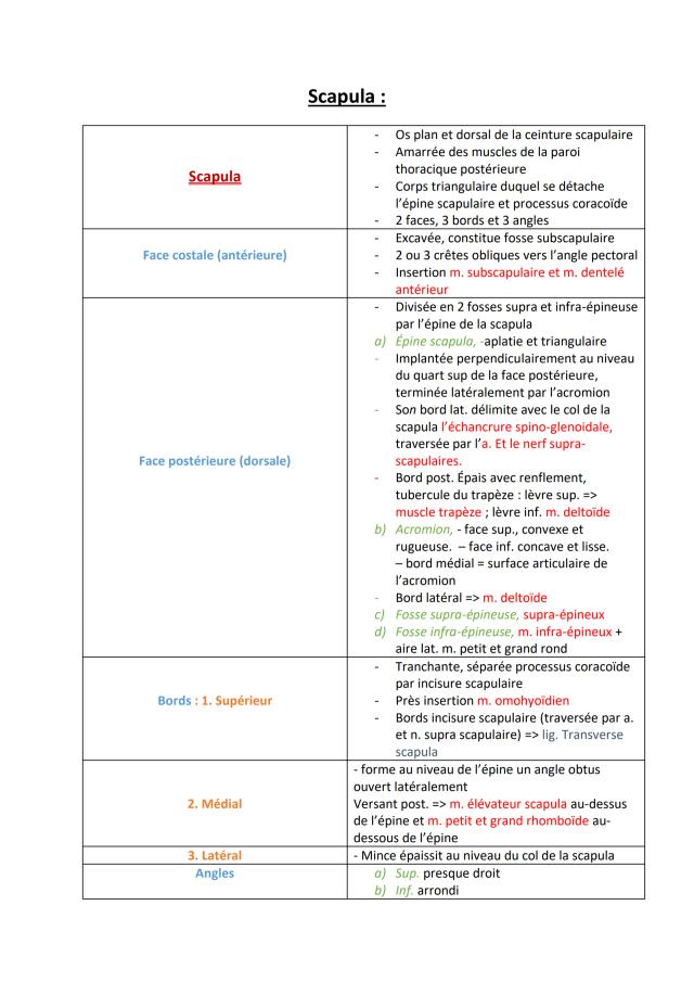 Know La scapula thumbnail