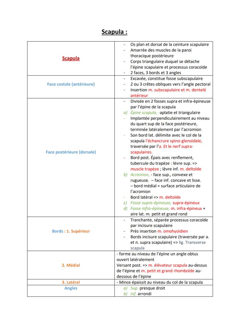 Know La scapula thumbnail