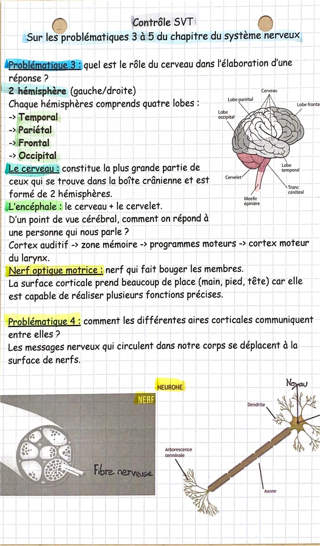 Contrôle SVT
Sur les problématiques 3 à 5 du chapitre du système nerveux
Problématique 3: quel est le rôle du cerveau dans l'élaboration d'u