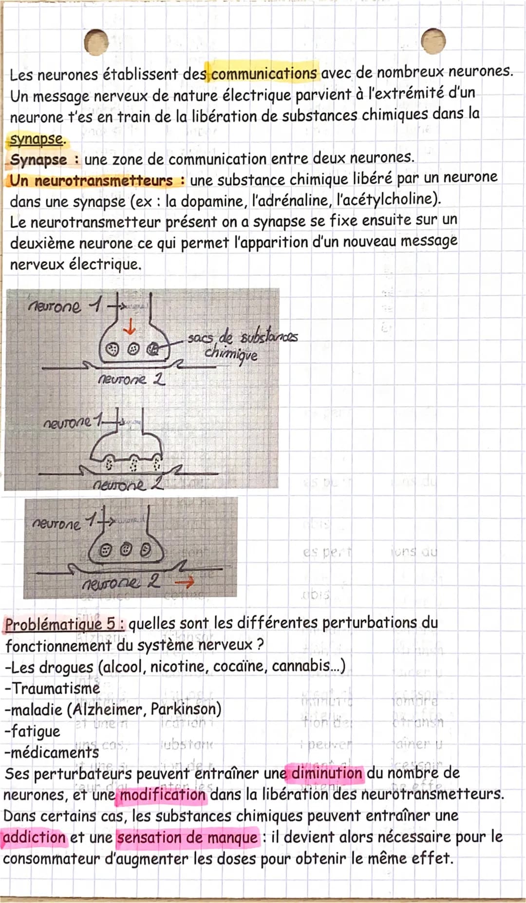 Contrôle SVT
Sur les problématiques 3 à 5 du chapitre du système nerveux
Problématique 3: quel est le rôle du cerveau dans l'élaboration d'u