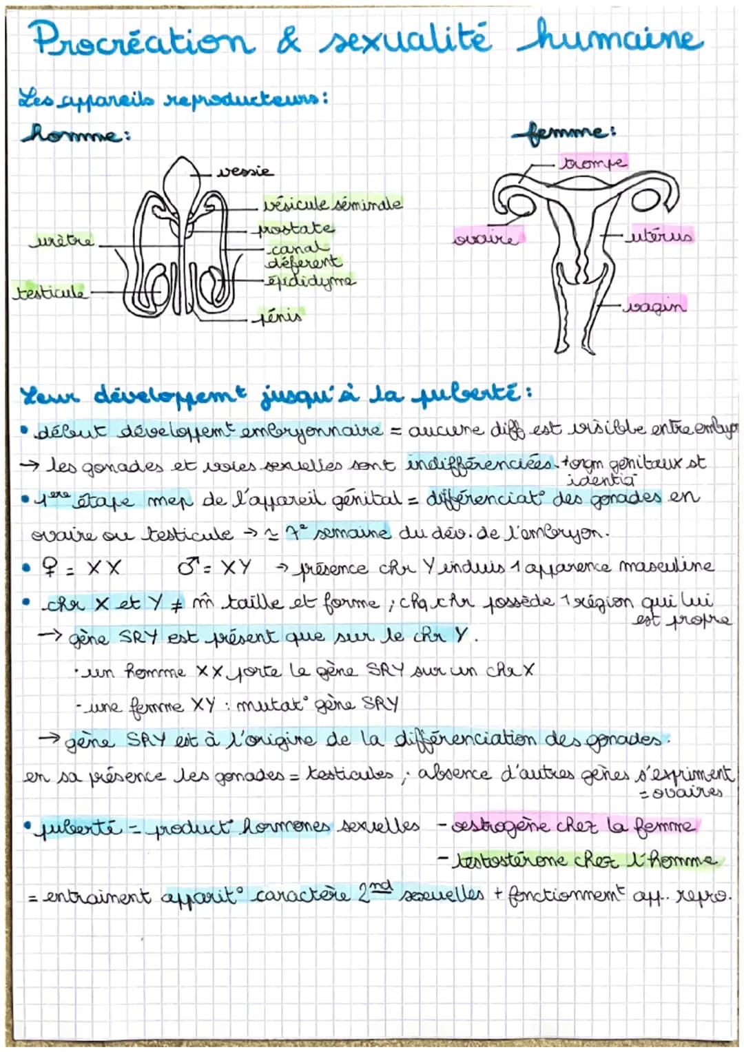 Procréation & sexualité humaine
Les appareils reproducteurs:
homme:
urètre
testicule
●
vessie
Coo
vésicule séminale
prostate
-canal
déferent