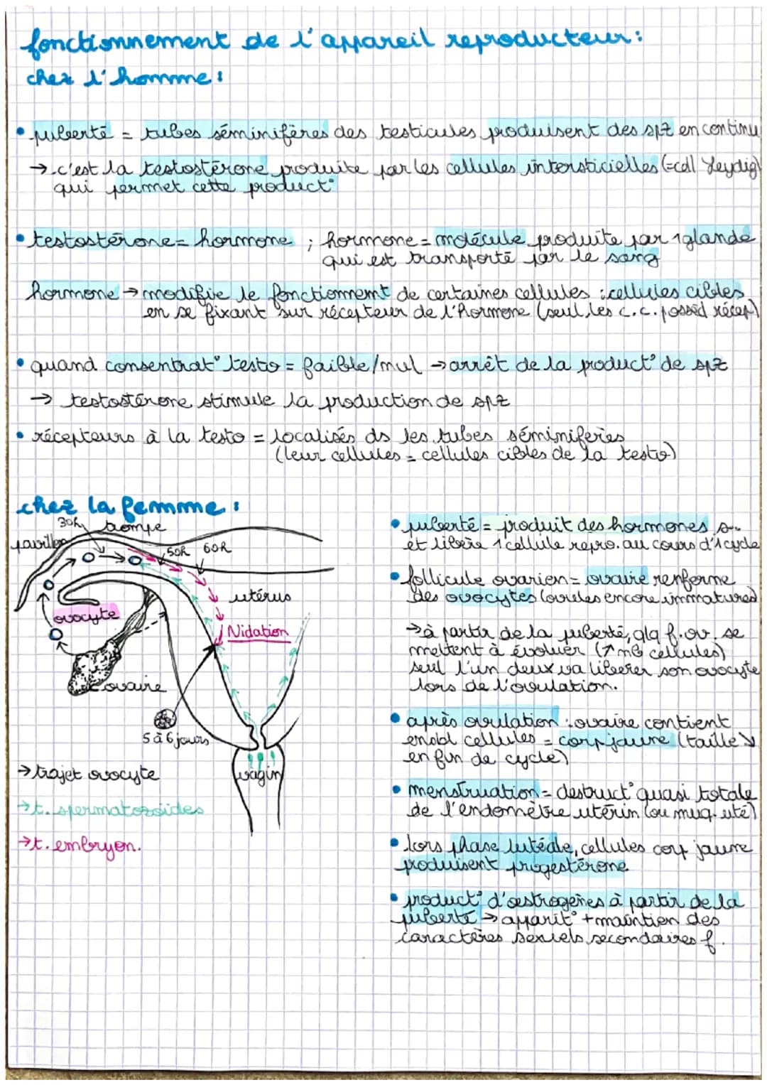 Procréation & sexualité humaine
Les appareils reproducteurs:
homme:
urètre
testicule
●
vessie
Coo
vésicule séminale
prostate
-canal
déferent